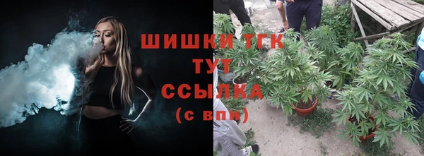 мет Корсаков