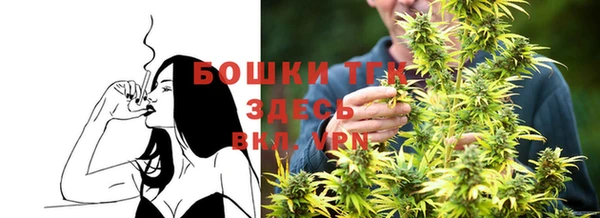 ГАЛЛЮЦИНОГЕННЫЕ ГРИБЫ Костерёво